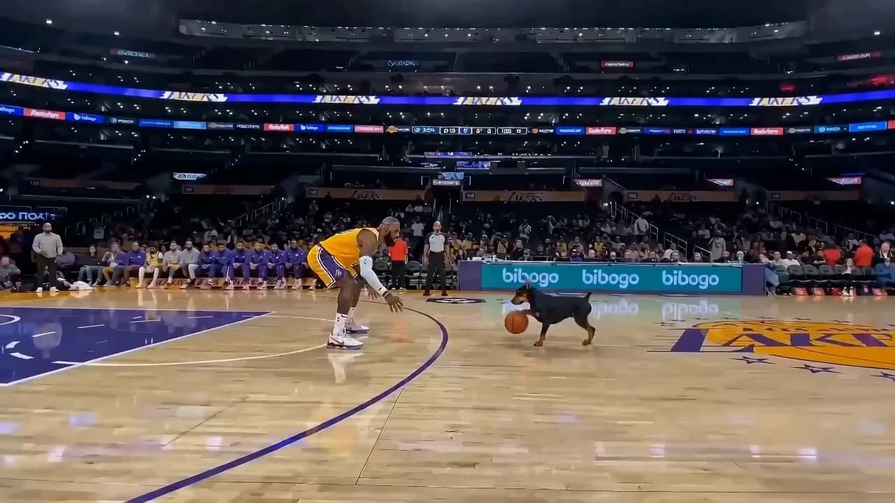 Seedance 2.0 template preview